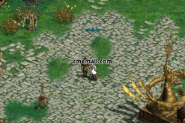 征途单机版本，需要虚拟机，一起打包好了