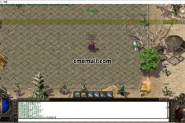 《金牌探秘》三职业+复古+V8引擎