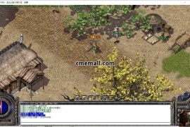 《176龙之公益》三职业+复古+GOM引擎+神兵宝阁+终极神殿+桃源山谷