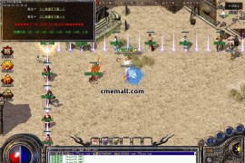 《176神兵御风》第409期+三职业+复古小极品+V8引擎+带假人+九层妖塔+法师宠物