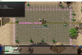 《海豚虚无》第350期+三职业+复古+V8引擎