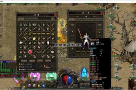 《玛法大陆》第046期+三职业+复古+铭文+专属+微变+V8引擎+带假人